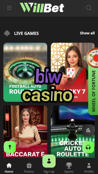 BLW Casino - High-Stakes Betting & Rewards-www.bdqngd.com